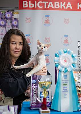 �������� ����� 25-26.12.2021 ���������� 5-65-IMG_4209.jpg