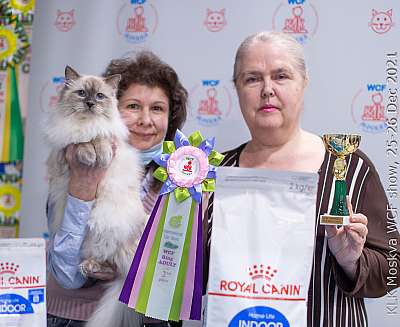 �������� ����� 25-26.12.2021 ���������� 2-34-IMG_5069.jpg