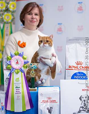 �������� ����� 25-26.12.2021 ���������� 5-77-IMG_5084.jpg