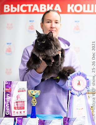 �������� ����� 25-26.12.2021 ���������� 4-39-IMG_4436.jpg