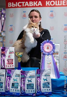 �������� ����� 25-26.12.2021 ���������� 5-5-IMG_4430.jpg