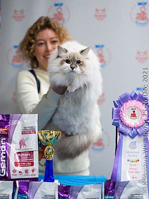 �������� ����� 25-26.12.2021 ���������� 7-31-IMG_4426.jpg