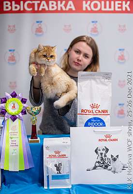 �������� ����� 25-26.12.2021 ���������� 3-79-IMG_4956.jpg