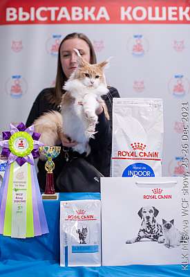 �������� ����� 25-26.12.2021 ���������� 5-5-IMG_4944.jpg