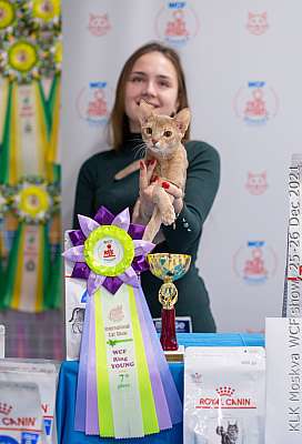 �������� ����� 25-26.12.2021 ���������� 7-45-IMG_4986.jpg