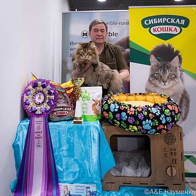 �������� ����� 19-20.03.2022 ���������� 1-46-0332-19032022.jpg