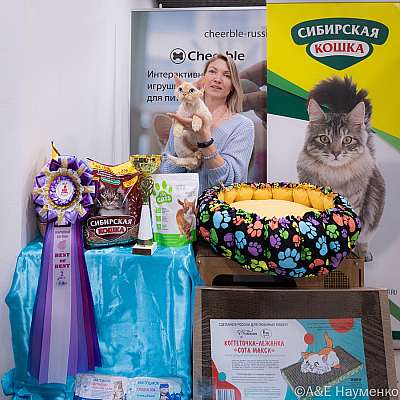 �������� ����� 19-20.03.2022 ���������� 2-75-0330-19032022.jpg