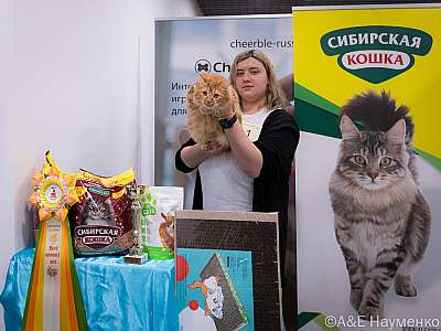 �������� ����� 19-20.03.2022 ���������� 3-1-0323-19032022.jpg