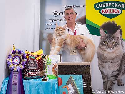 �������� ����� 19-20.03.2022 ���������� 5-19-0318-19032022.jpg