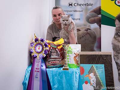 �������� ����� 19-20.03.2022 ���������� 6-64-0317-19032022.jpg