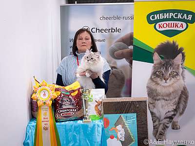 �������� ����� 19-20.03.2022 ���������� 7-35-0303-19032022.jpg