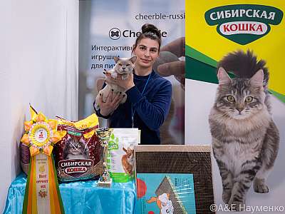 �������� ����� 19-20.03.2022 ���������� 8-71-0313-19032022.jpg