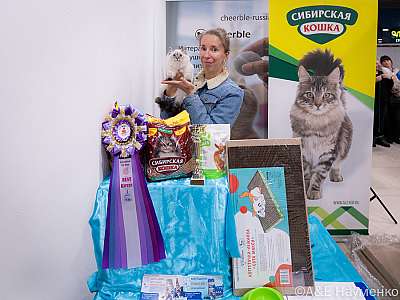 �������� ����� 19-20.03.2022 ���������� 9-97-0296-19032022.jpg