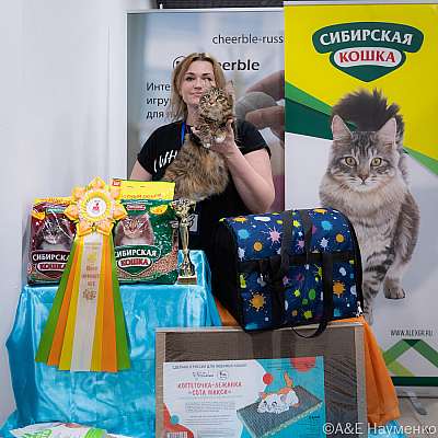 �������� ����� 19-20.03.2022 ���������� 4-3-0680-20032022.jpg