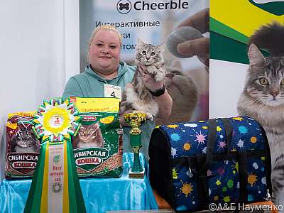 �������� ����� 19-20.03.2022 ���������� 7-4-0659-20032022.jpg