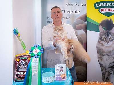 �������� ����� 19-20.03.2022 ���������� 4-19-048-20032022.jpg