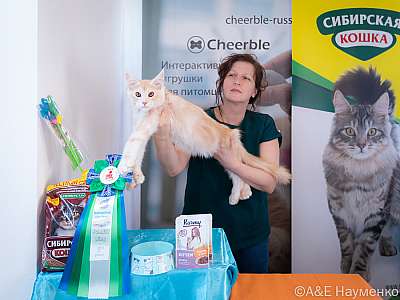 �������� ����� 19-20.03.2022 ���������� 5-29-0482-20032022.jpg