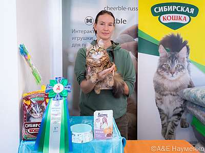 �������� ����� 19-20.03.2022 ���������� 8-43-0477-20032022.jpg