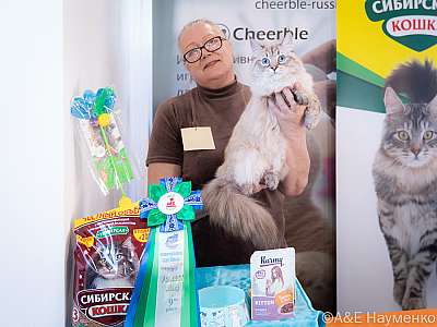 �������� ����� 19-20.03.2022 ���������� 9-41-0475-20032022.jpg