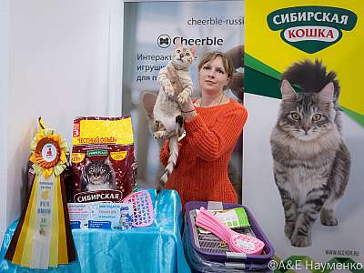 �������� ����� 19-20.03.2022 ���������� 10-59-0241-19032022.jpg