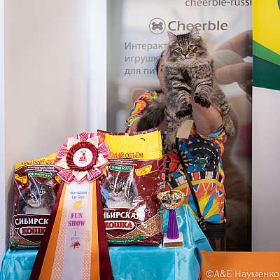 �������� ����� 19-20 ����� 2022 �., ������������ � ������ ���.