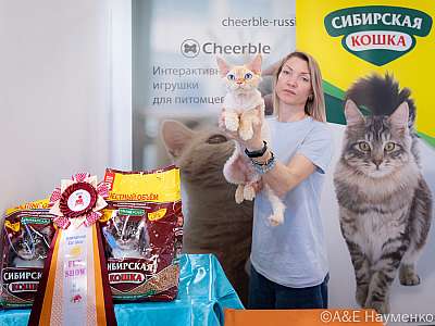 �������� ����� 19-20.03.2022 ���������� 4-75-0514-20032022.jpg