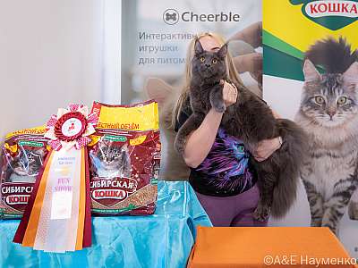 �������� ����� 19-20.03.2022 ���������� 7-13-0506-20032022.jpg