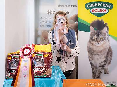 �������� ����� 19-20.03.2022 ���������� 9-76-0504-20032022.jpg