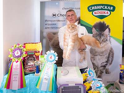 �������� ����� 19-20 ����� 2022 �., ������������ � ������ ���.