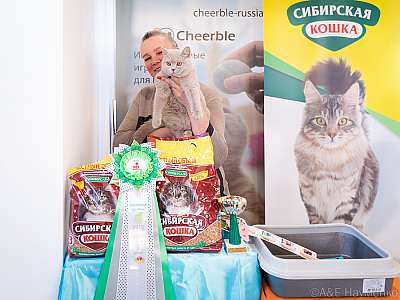 �������� ����� 19-20 ����� 2022 �., ������������ � ������ ���.