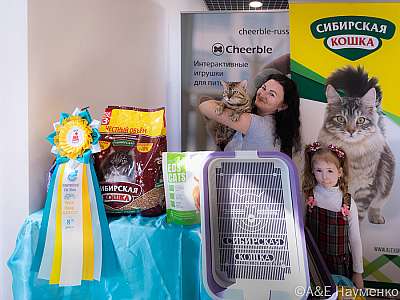 �������� ����� 19-20.03.2022 ���������� 8-60-0032-19032022.jpg