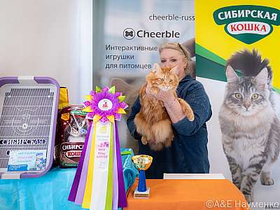 �������� ����� 19-20.03.2022 ���������� 2-2-0400-20032022.jpg