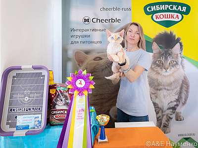 �������� ����� 19-20.03.2022 ���������� 3-75-0404-20032022.jpg