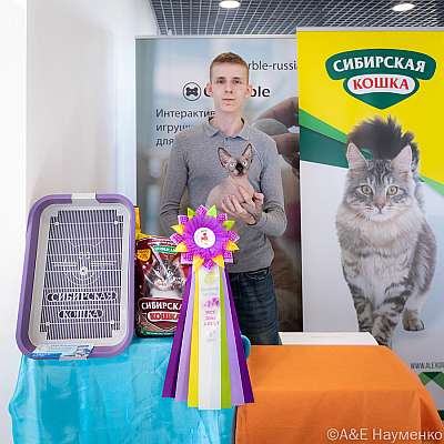 �������� ����� 19-20.03.2022 ���������� 6-77-0396-20032022.jpg