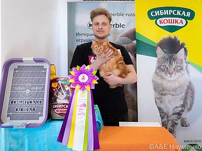 �������� ����� 19-20.03.2022 ���������� 7-1-0398-20032022.jpg