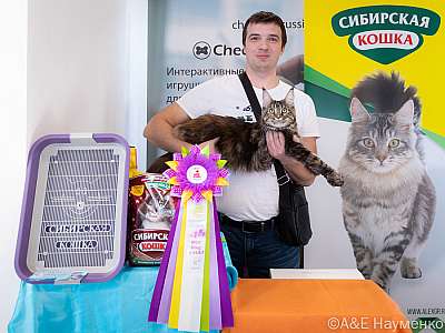 �������� ����� 19-20.03.2022 ���������� 8-22-0394-20032022.jpg