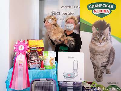 �������� ����� 19-20 ����� 2022 �. WCF-�����