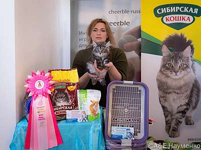 �������� ����� 19-20.03.2022 ���������� 10-9-0082-19032022.jpg