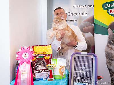 �������� ����� 19-20.03.2022 ���������� 2-19-0095-19032022.jpg