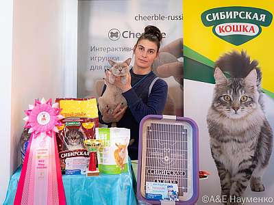 �������� ����� 19-20.03.2022 ���������� 4-71-0089-19032022.jpg