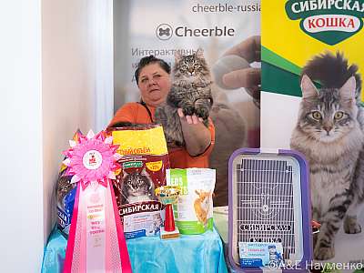 �������� ����� 19-20.03.2022 ���������� 5-47-0091-19032022.jpg