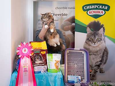 �������� ����� 19-20.03.2022 ���������� 7-39-0087-19032022.jpg