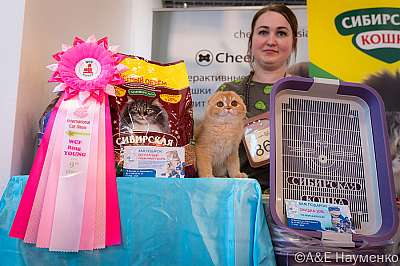 �������� ����� 19-20.03.2022 ���������� 9-86-0083-19032022.jpg