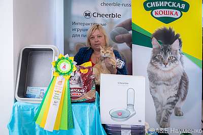 �������� ����� 19-20.03.2022 ���������� 10-104-0364-20032022.jpg