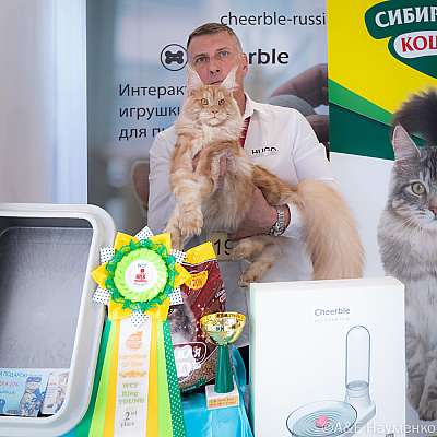 �������� ����� 19-20.03.2022 ���������� 2-19-0383-20032022.jpg