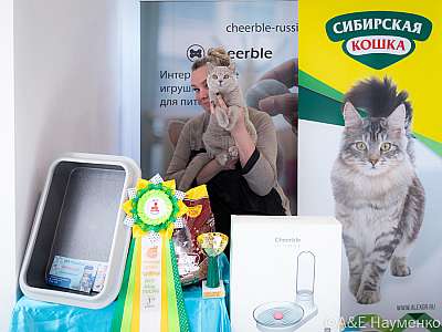 �������� ����� 19-20.03.2022 ���������� 3-64-0380-20032022.jpg