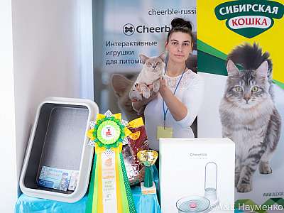 �������� ����� 19-20.03.2022 ���������� 4-71-0376-20032022.jpg