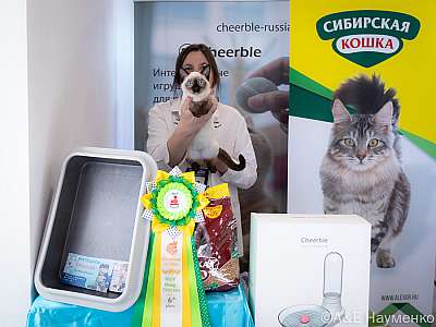 �������� ����� 19-20.03.2022 ���������� 6-100-0373-20032022.jpg