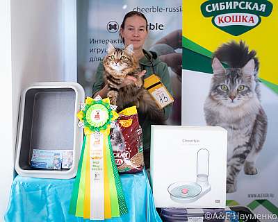 �������� ����� 19-20.03.2022 ���������� 8-43-0368-20032022.jpg