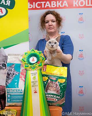 �������� ����� 16-17.04.2022 ���������� 2-92-0273_Moskva_16042022.jpg